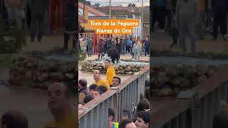 Toro de la Peguera Navas de Oro #shorts