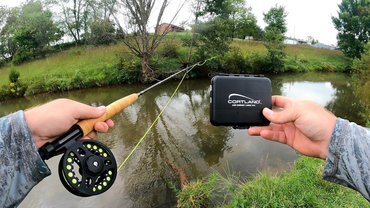 YOU WON'T BELIEVE HOW GOOD THIS CREEK IS Epic Fly Fishing YouTube