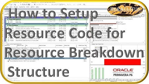 Primavera P6 Lesson 07-How to Use Resource Code to Setup Resource Breakdown Structure Part 3/4