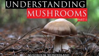 Understanding Mushrooms: Part 1