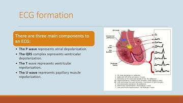 KIB4005 MEDICAL INSTRUMENTATION (ECG)