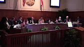 
      7. Mayor Comments
    