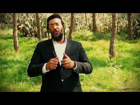 פיתוח קסם אישי - 3 / אליהו שירי