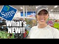 ✨SAM’S CLUB✨What’s NEW!! || New arrivals at Sam’s Club this week!!