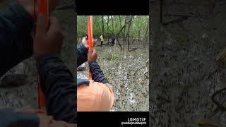 papegaai-eiland, Nickerie West coast 🇸🇷❤️ #nature