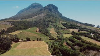 Banhoek Chilli Oil A Taste Of South Africas Rich Heritage & Bold Flavour