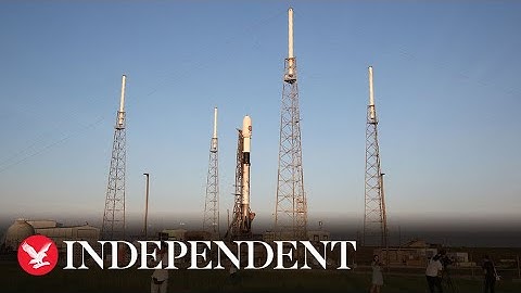 Watch again: Euclid space telescope launches on mission to study 