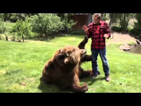 დათავები ბოლო მონტაჯი