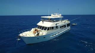 Cairns Charter Boat | One Day & Multi Day Charters - ARO | Great Barrier Reef Boat Charters
