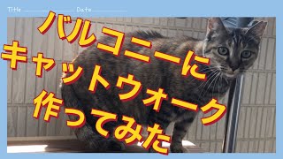 【DIY】ベランダにキャットウォーク作ってみた