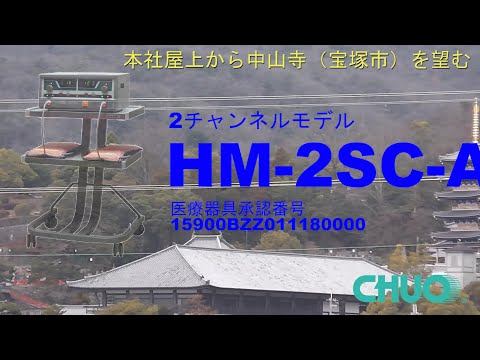 動画