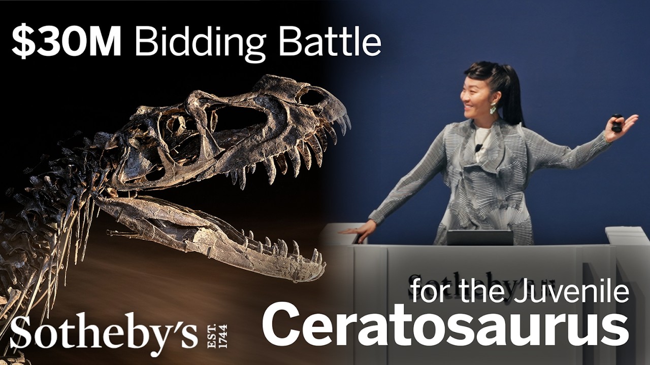 The $30 Million Bidding Battle for a Jurassic Dinosaur Fossil | Sotheby’s