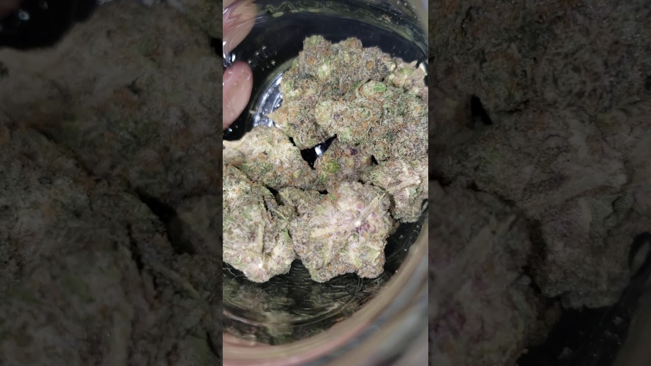 cherry fritters strain 