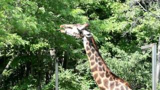 MVI_2792.MOV