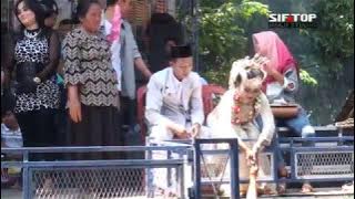 Inilah Adat Tradisi Sawer Pengantin Baru Kampung Pamulihan Larangan Brebes