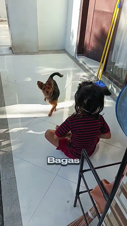 Ketika Mama Ara Kaget Dedek Lg Tidur Hilang Dri Kasur. Bangun Langsung Main Sm Anjing Tetangga 🐕🤦‍♀️