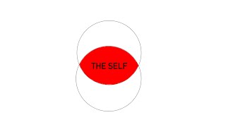 Carlos Simpson - The Self | Carlos Simpson Graphic Design