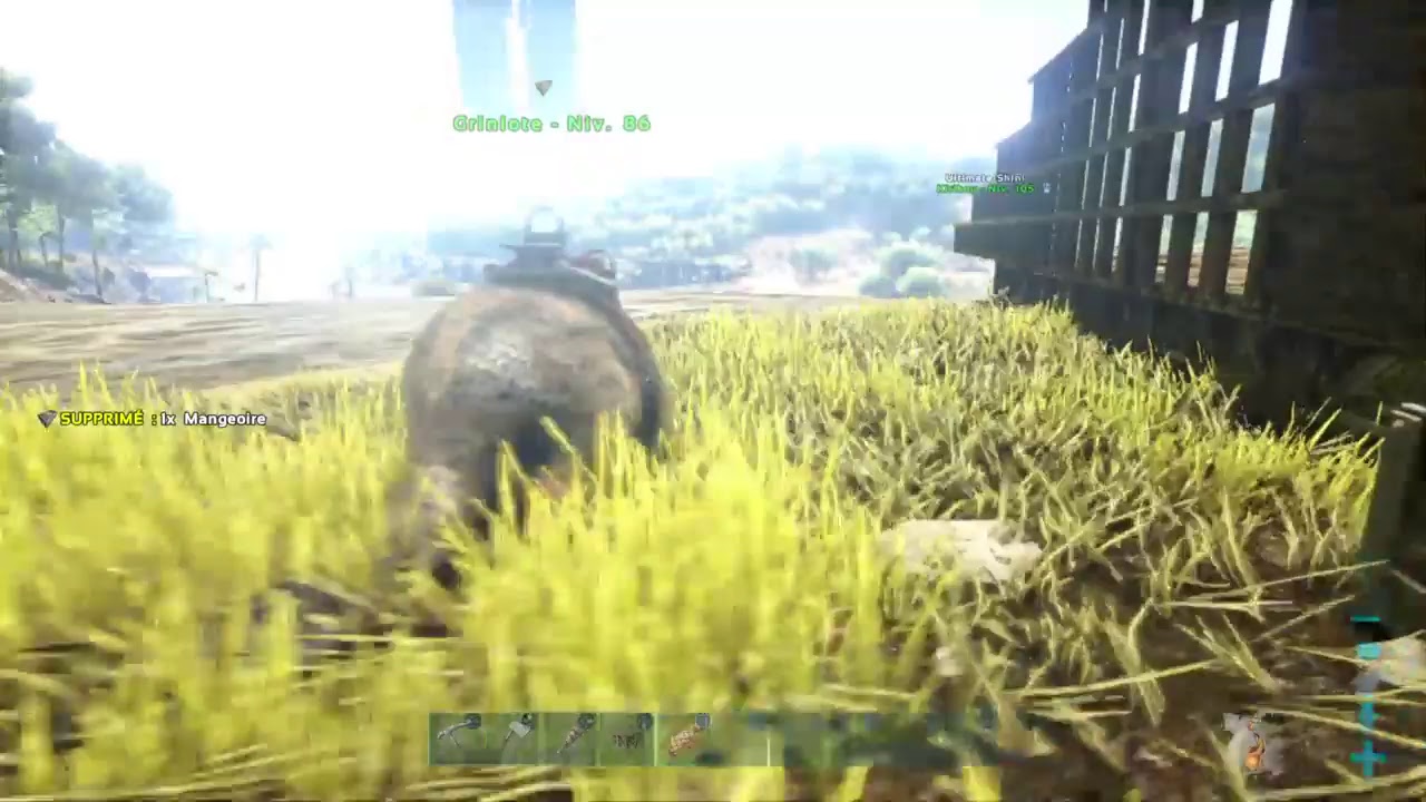 Ark petite fabrication de voliaire