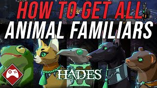 Hades 2: How to Unlock ALL Animal Familiars (Companions, Leveling & Skins Guide)