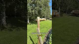 🇳🇴 Малиновая ферма в Норвегии Сочные ягоды, свежий воздух и красота норвежской природы! #норвегия