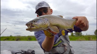 Fly Fishing the SALMONFLY HATCH on the Henrys Fork