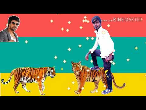 valmiki-dj-songs-kannada