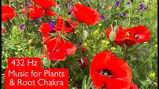 Music for Plants 432 Hz Music To Stimulate Plants Growth and Root Chakra Healing