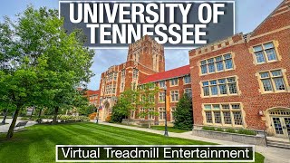 Knoxville, TN Walking Tour  University of Tennessee  4K Virtual Tours of Cities