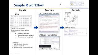 Learning R 08 - summary & simple R workflow