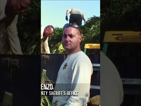 Marijuana Raid Millions Seized, Suspects Face Prison!