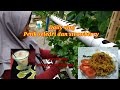 Daily Cooking || Petik seledri Dan Strawberry || Masak Mie Untuk Berbuka || Mamahanifah Channel