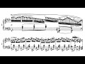 Liszt－Polonaise Brillante von Weber ,S367 (Dichter)