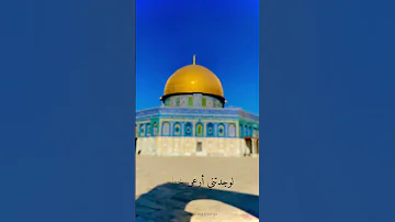 لو قلت لي روحي فداك 