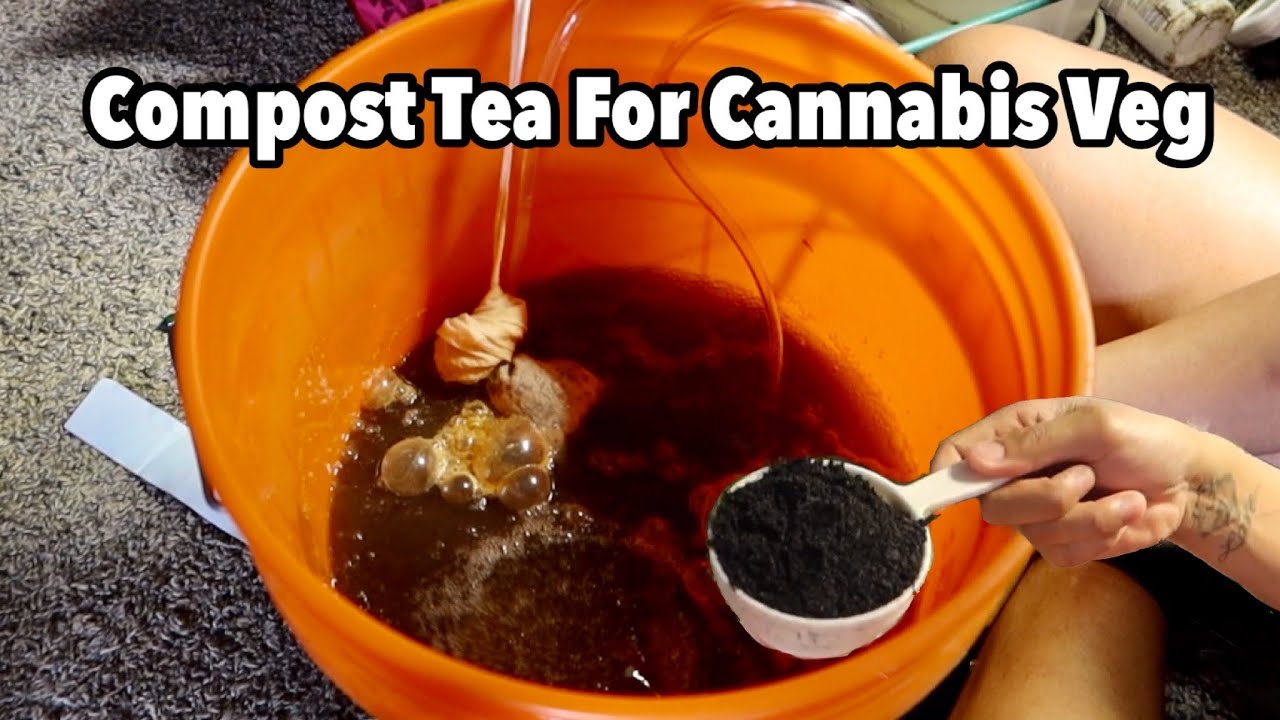Как приготовить компостный чай 🌱 на стадии вегетации каннабиса | (Простой рецепт для небольшой по...