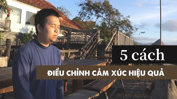5 cách rất hay để điều chỉnh cảm xúc I Trí tuệ cảm xúc I Tập 8