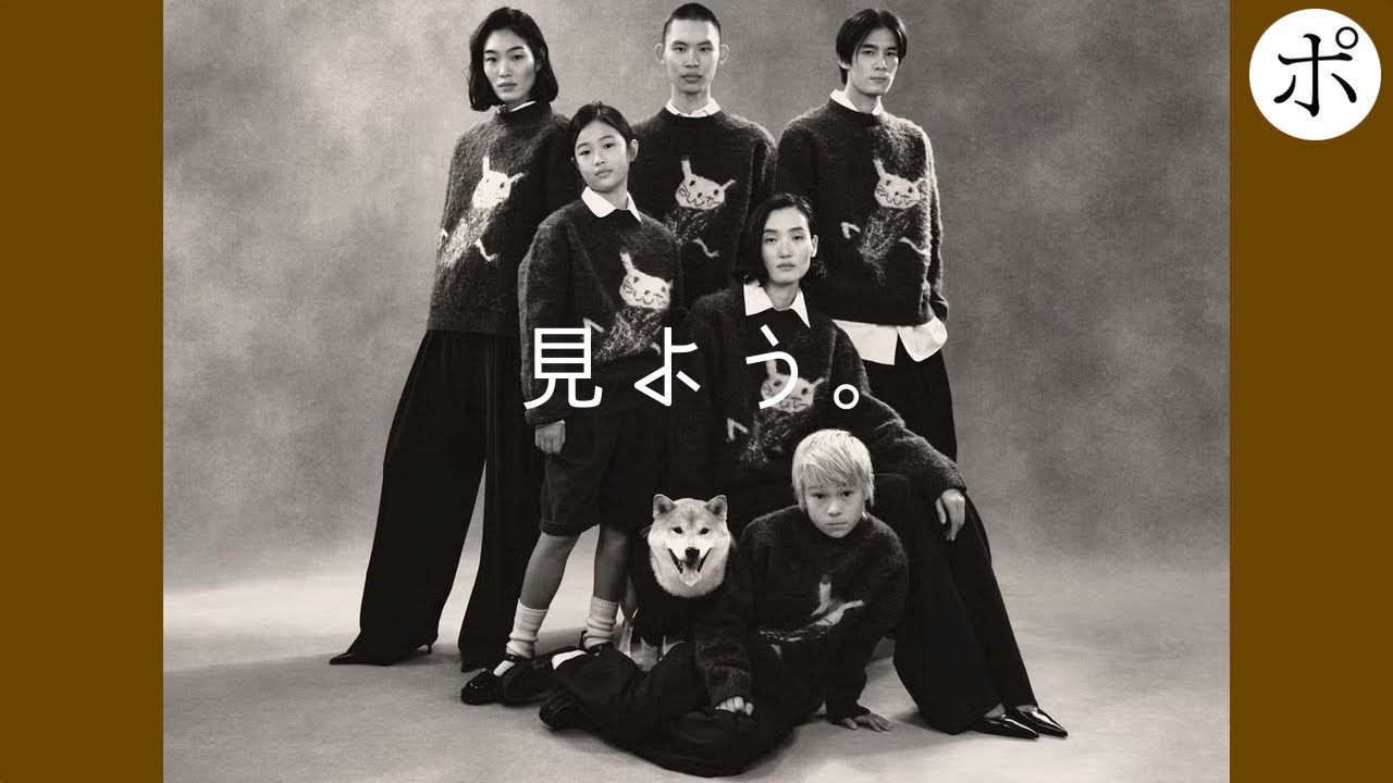 Soshiotsuki X Zara をポチった報告（でも実物みてないから怖くて震え