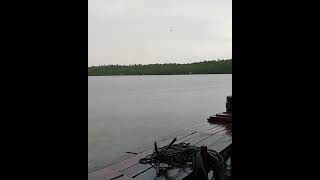 penampakan buaya di pulau kelo#Obi halses malut