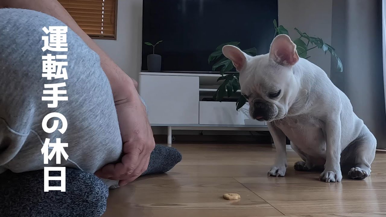 嫁が感動する最高級なお肉！が我が家に届きました。休日をまったり過ごす運転手の家飯。