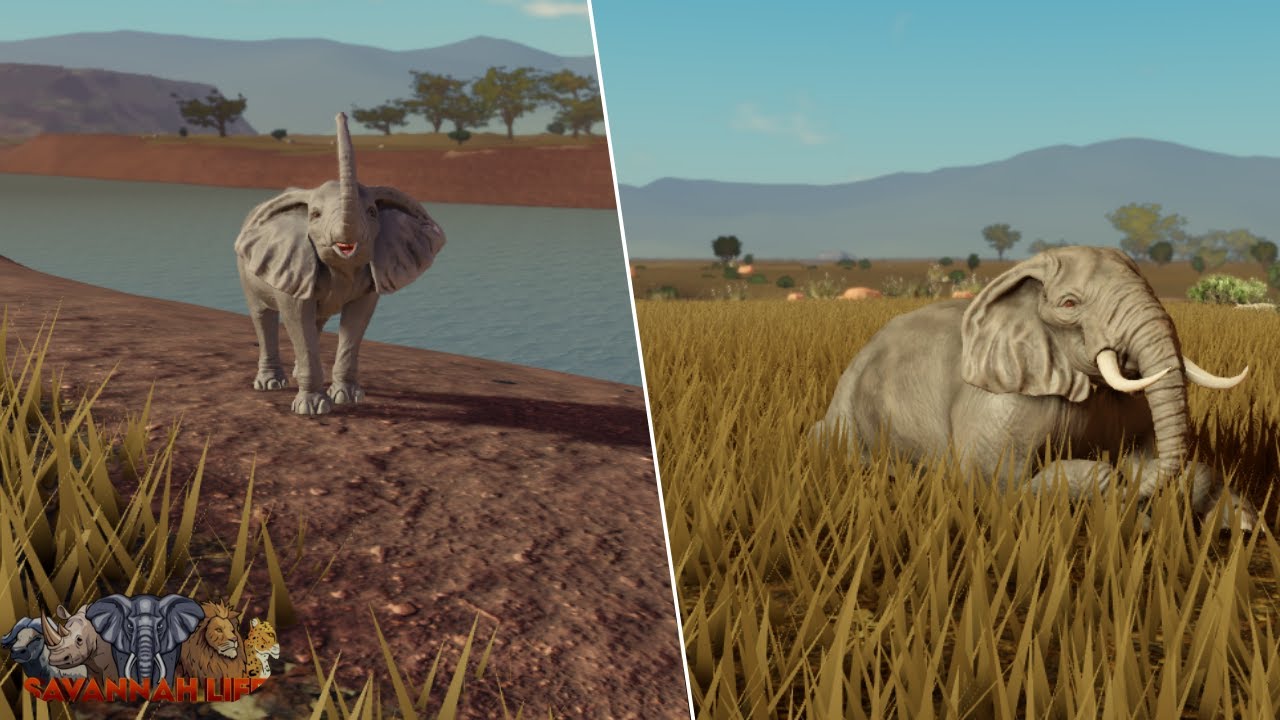 Hunting Players as Elephant in Savannah Life ⏐ Roblox 🐘