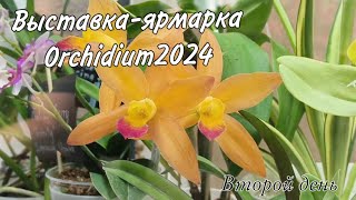 Орхидиум || Выставка-ярмарка орхидей в Москве || Обзор растений и новинок Орхомира