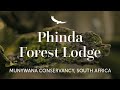 Leaving our World a Better Place | Phinda - The Return | South Africa