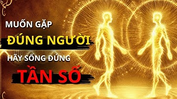 Khi linh hồn bạn chạm đúng tần số của mình, vũ trụ sẽ gửi người cùng ánh sáng đến