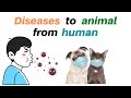 animals are infected from human (diseases to animal from human.)