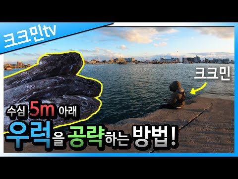 / <strong>새만금방조제</strong> 포인트