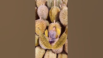 Durian fruits#viralvideo#viral#fruit#viralshorts#video#trending#youtube#youtubeshorts