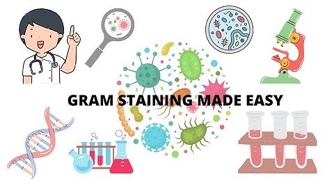 Gram Staining Procedures -- Principle, Procedure, Interpretation and Reporting