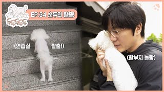 두두두두두 l EP.34 순두의 탈출!