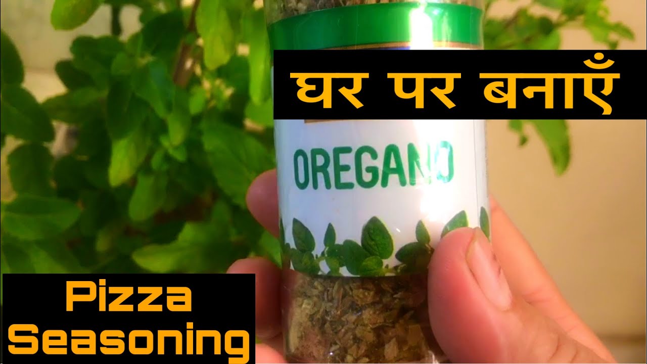 How To Make Oregano At Home | Oregano | Oregano Recipe In Hindi | घर पर बनायें ओरेगनो - YouTube