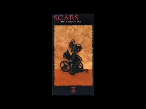 X JAPAN SCARS「hideパート以外」っぽいのを弾いてみた。刻みサボらずver
