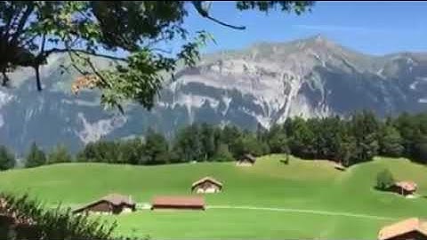 صوت جميل ما شاء الله تبارك الله تلاوة عطرة من سورة المائدة